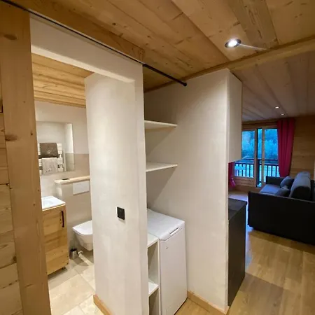 Appartement Face Aux Pistes Praz-sur-Arly